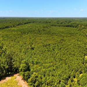 Photo #17 of Off Lagrange Rd, La Grange, NC 86.7 acres
