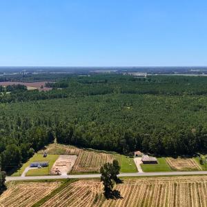Photo #2 of Off Lagrange Rd, La Grange, NC 86.7 acres