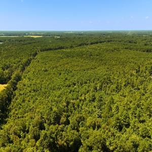 Photo #21 of Off Lagrange Rd, La Grange, NC 86.7 acres