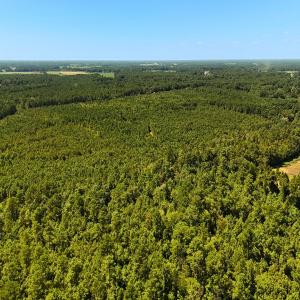 Photo #22 of Off Lagrange Rd, La Grange, NC 86.7 acres