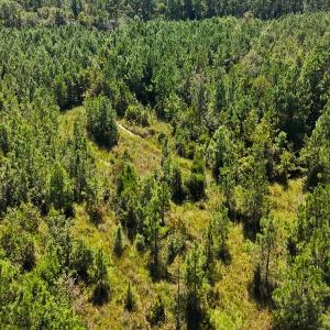 Photo #27 of Off Lagrange Rd, La Grange, NC 86.7 acres
