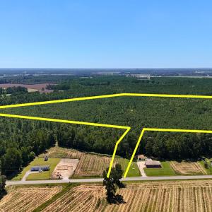 Photo #3 of Off Lagrange Rd, La Grange, NC 86.7 acres