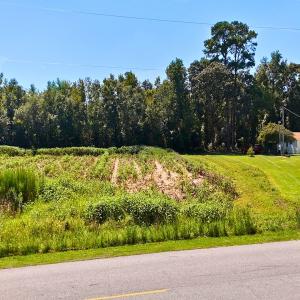 Photo #4 of Off Lagrange Rd, La Grange, NC 86.7 acres