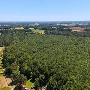 Photo #5 of Off Lagrange Rd, La Grange, NC 86.7 acres