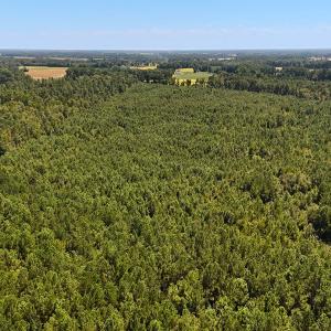 Photo #7 of Off Lagrange Rd, La Grange, NC 86.7 acres