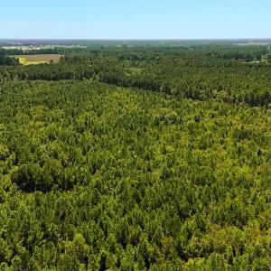 Photo #8 of Off Lagrange Rd, La Grange, NC 86.7 acres