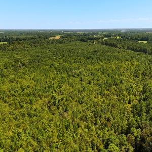 Photo #9 of Off Lagrange Rd, La Grange, NC 86.7 acres