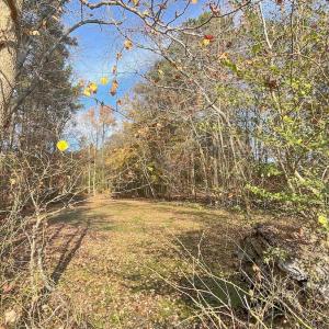 Photo #13 of Off High School Road, Teachey, NC 20.3 acres