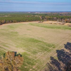 Photo #1 of Off High School Road, Teachey, NC 20.3 acres