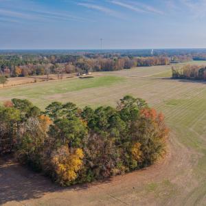 Photo #18 of Off High School Road, Teachey, NC 20.3 acres