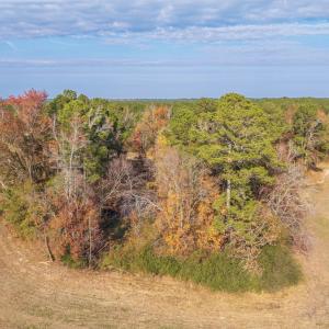 Photo #21 of Off High School Road, Teachey, NC 20.3 acres