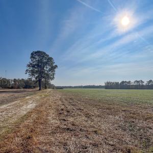 Photo #4 of Off High School Road, Teachey, NC 20.3 acres