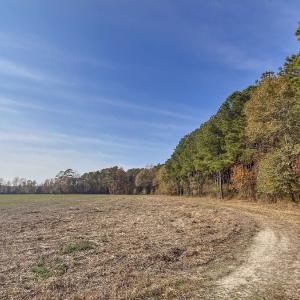 Photo #7 of Off High School Road, Teachey, NC 20.3 acres