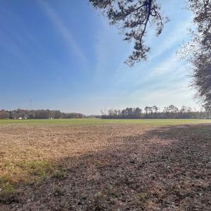 Photo #8 of Off High School Road, Teachey, NC 20.3 acres