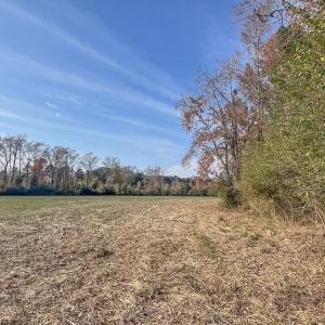 Photo #9 of Off High School Road, Teachey, NC 20.3 acres