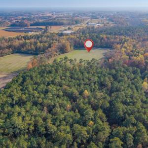 Photo #8 of Off High School Road, Teachey, NC 41.5 acres