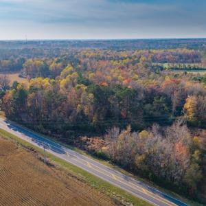 Photo #10 of Off High School Road, Teachey, NC 41.5 acres