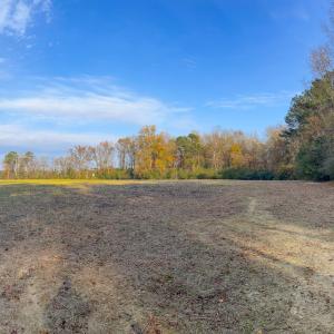 Photo #12 of Off High School Road, Teachey, NC 41.5 acres