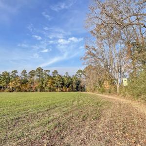 Photo #18 of Off High School Road, Teachey, NC 41.5 acres