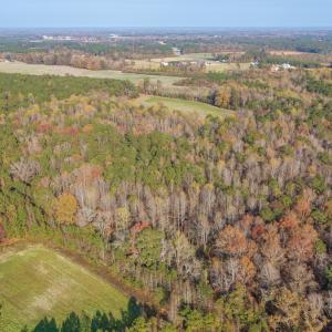 Photo #1 of Off High School Road, Teachey, NC 41.5 acres