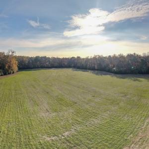 Photo #23 of Off High School Road, Teachey, NC 41.5 acres