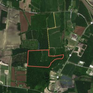 Photo #27 of Off High School Road, Teachey, NC 41.5 acres