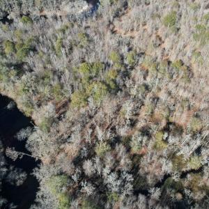 Photo #11 of Off of Macedonia Church Road, Evergreen, NC 17.3 acres