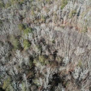 Photo #14 of Off of Macedonia Church Road, Evergreen, NC 17.3 acres