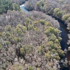 Photo #1 of Off of Macedonia Church Road, Evergreen, NC 17.3 acres