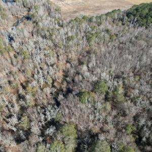 Photo #2 of Off of Macedonia Church Road, Evergreen, NC 17.3 acres