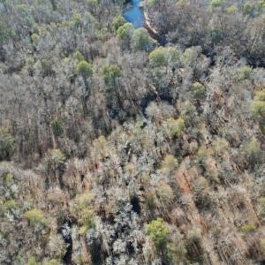 Photo #5 of Off of Macedonia Church Road, Evergreen, NC 17.3 acres