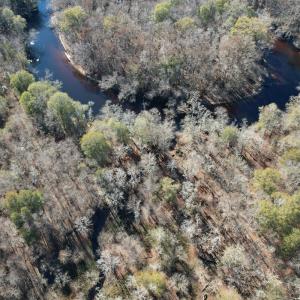 Photo #6 of Off of Macedonia Church Road, Evergreen, NC 17.3 acres