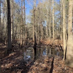 Photo #34 of Off of Macedonia Church Road, Evergreen, NC 17.3 acres