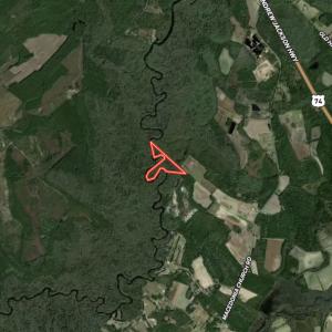 Photo #35 of Off of Macedonia Church Road, Evergreen, NC 17.3 acres