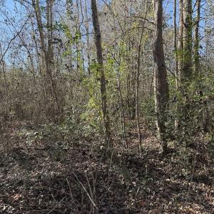 Photo #12 of 4758 Princess Ann Rd, Chadbourn, NC 7.0 acres