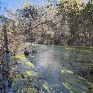 Photo #15 of 4758 Princess Ann Rd, Chadbourn, NC 7.0 acres