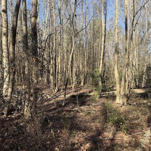 Photo #19 of 4758 Princess Ann Rd, Chadbourn, NC 7.0 acres