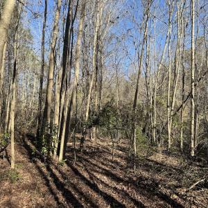 Photo #20 of 4758 Princess Ann Rd, Chadbourn, NC 7.0 acres