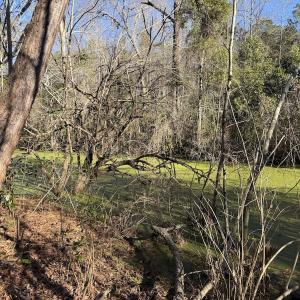 Photo #23 of 4758 Princess Ann Rd, Chadbourn, NC 7.0 acres