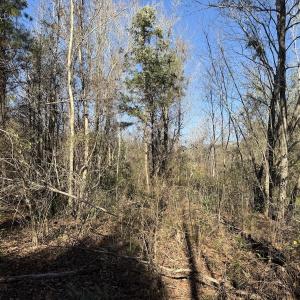 Photo #27 of 4758 Princess Ann Rd, Chadbourn, NC 7.0 acres