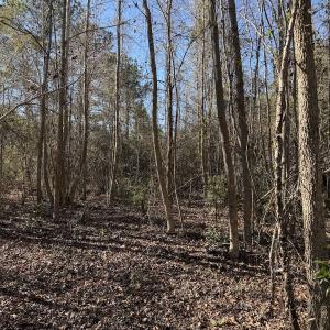Photo #29 of 4758 Princess Ann Rd, Chadbourn, NC 7.0 acres