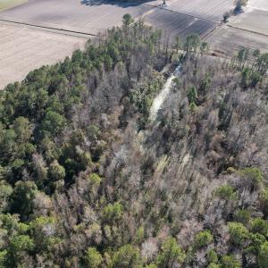 Photo #5 of 4758 Princess Ann Rd, Chadbourn, NC 7.0 acres