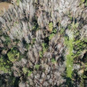 Photo #6 of 4758 Princess Ann Rd, Chadbourn, NC 7.0 acres