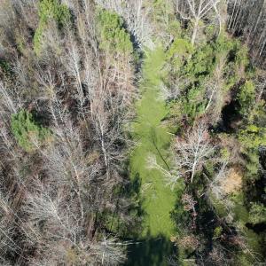 Photo #7 of 4758 Princess Ann Rd, Chadbourn, NC 7.0 acres