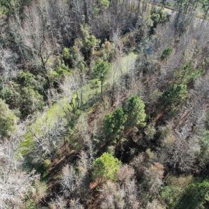 Photo #8 of 4758 Princess Ann Rd, Chadbourn, NC 7.0 acres