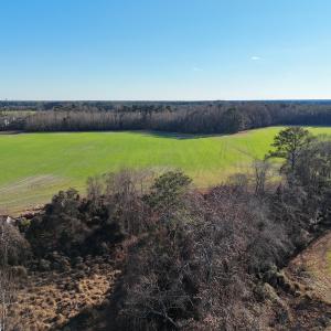 Photo #15 of Off Maple Ave, Sedley, VA 2.1 acres