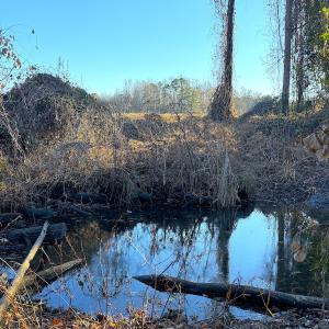 Photo #21 of Off Maple Ave, Sedley, VA 2.1 acres