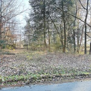 Photo #2 of Off Maple Ave, Sedley, VA 2.1 acres