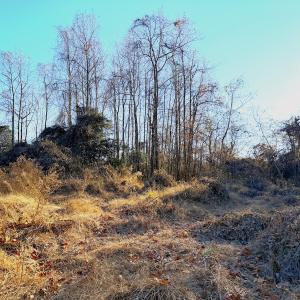 Photo #23 of Off Maple Ave, Sedley, VA 2.1 acres