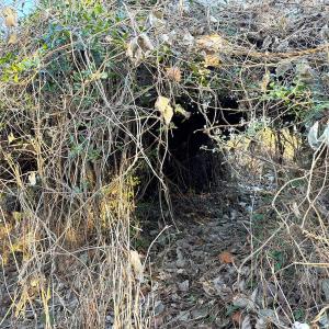 Photo #24 of Off Maple Ave, Sedley, VA 2.1 acres